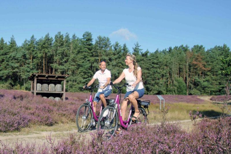 Appartamento Ruhepol Fuer Mensch & Tier In Der Lueneburger Heide Vierhofen Esterno foto